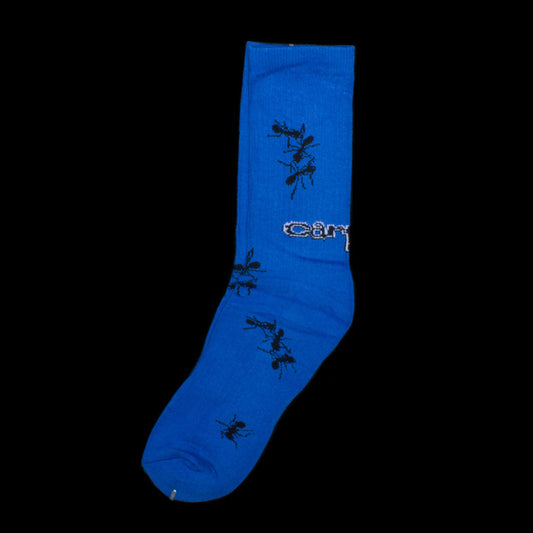 Ant Sock