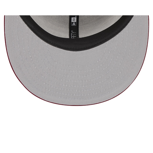Florida State Seminoles Script 9FIFTY Snapback Hat