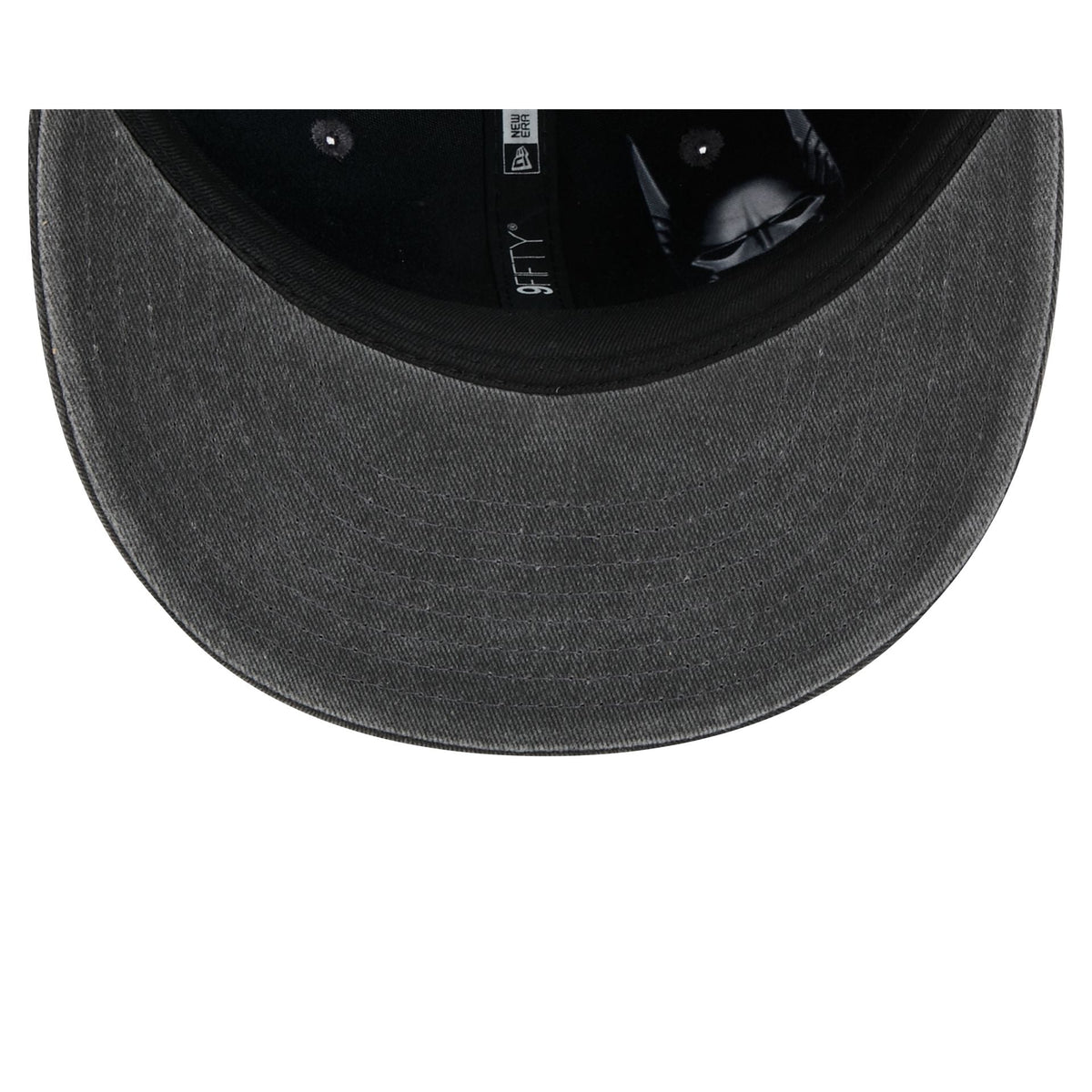 Batman & Robin 9FIFTY Snapback Hat