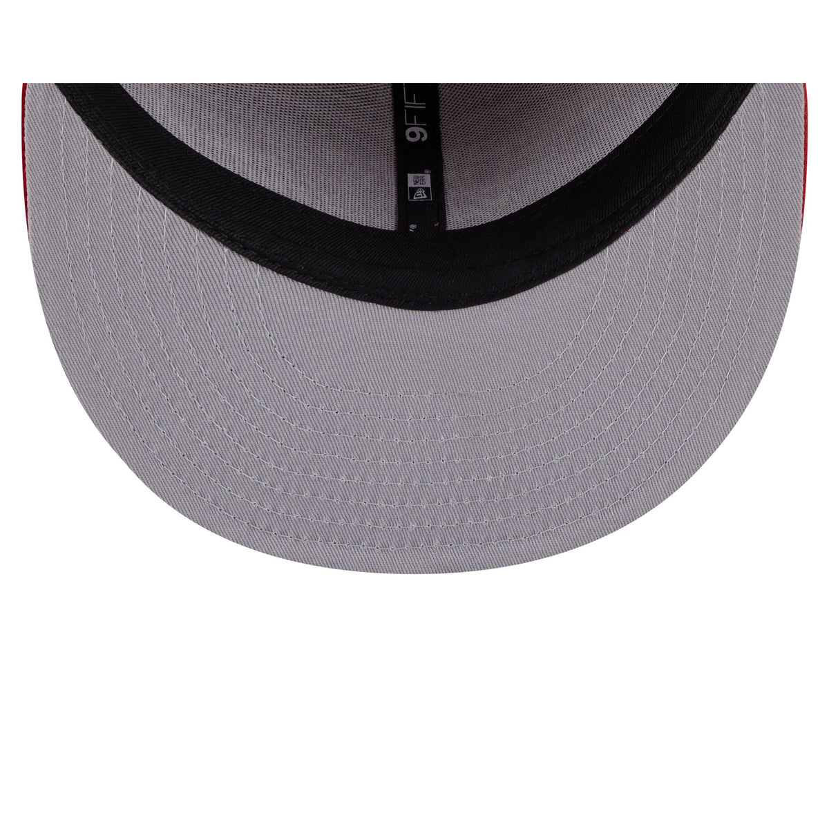 Florida Panthers Script 9FIFTY Snapback Hat