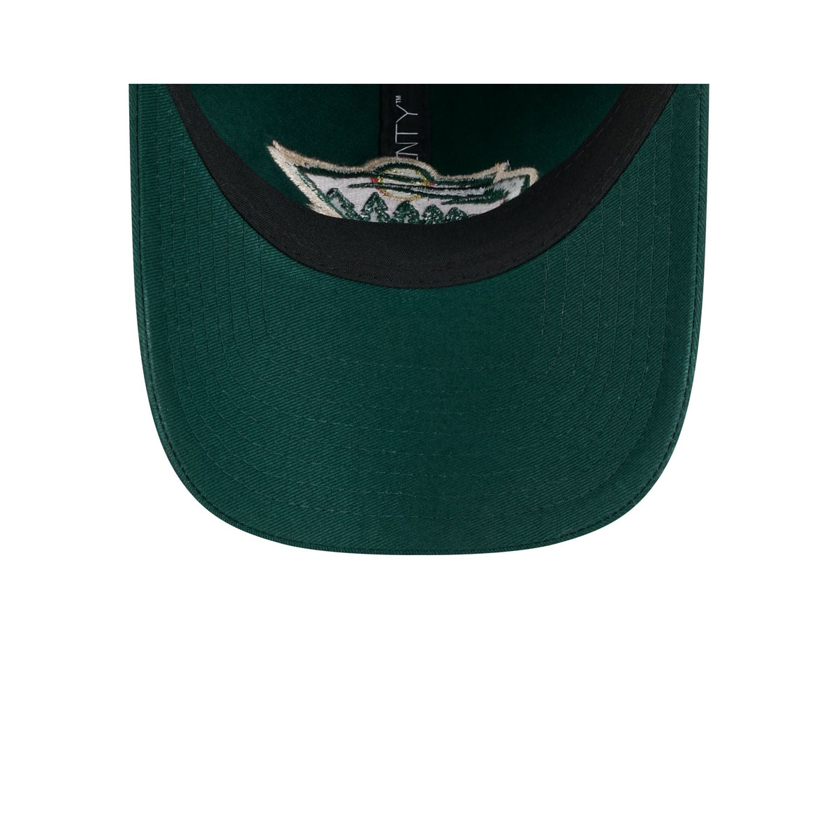 Minnesota Wild Team Tag 9TWENTY Adjustable Hat