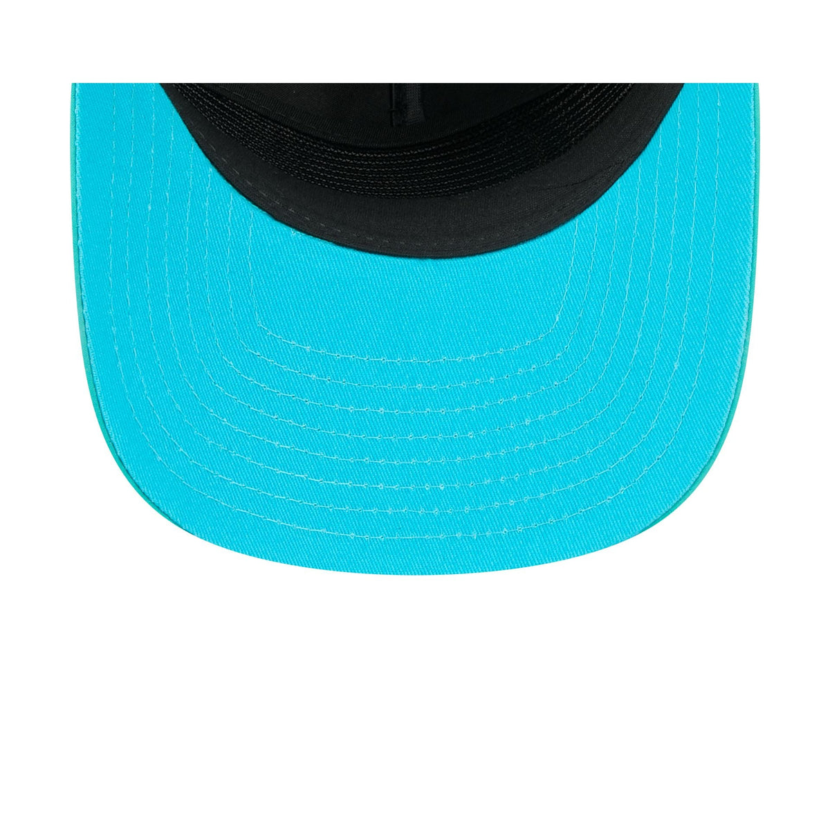 Charlotte Hornets Dual Logo 19TWENTY Adjustable Hat