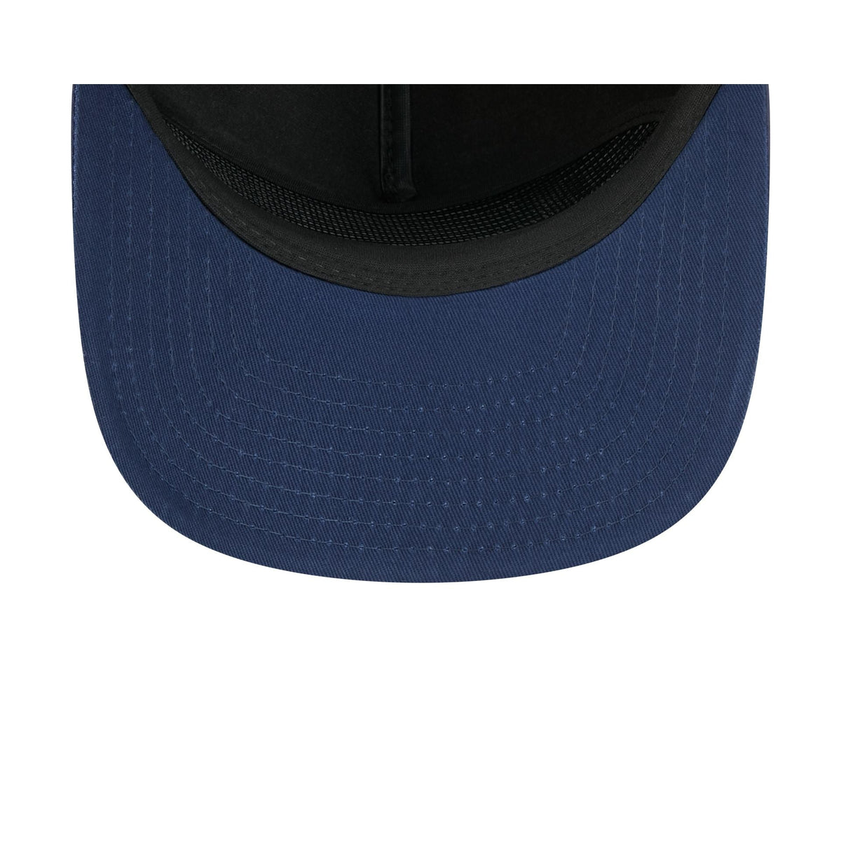 Minnesota Timberwolves Dual Logo 19TWENTY Adjustable Hat