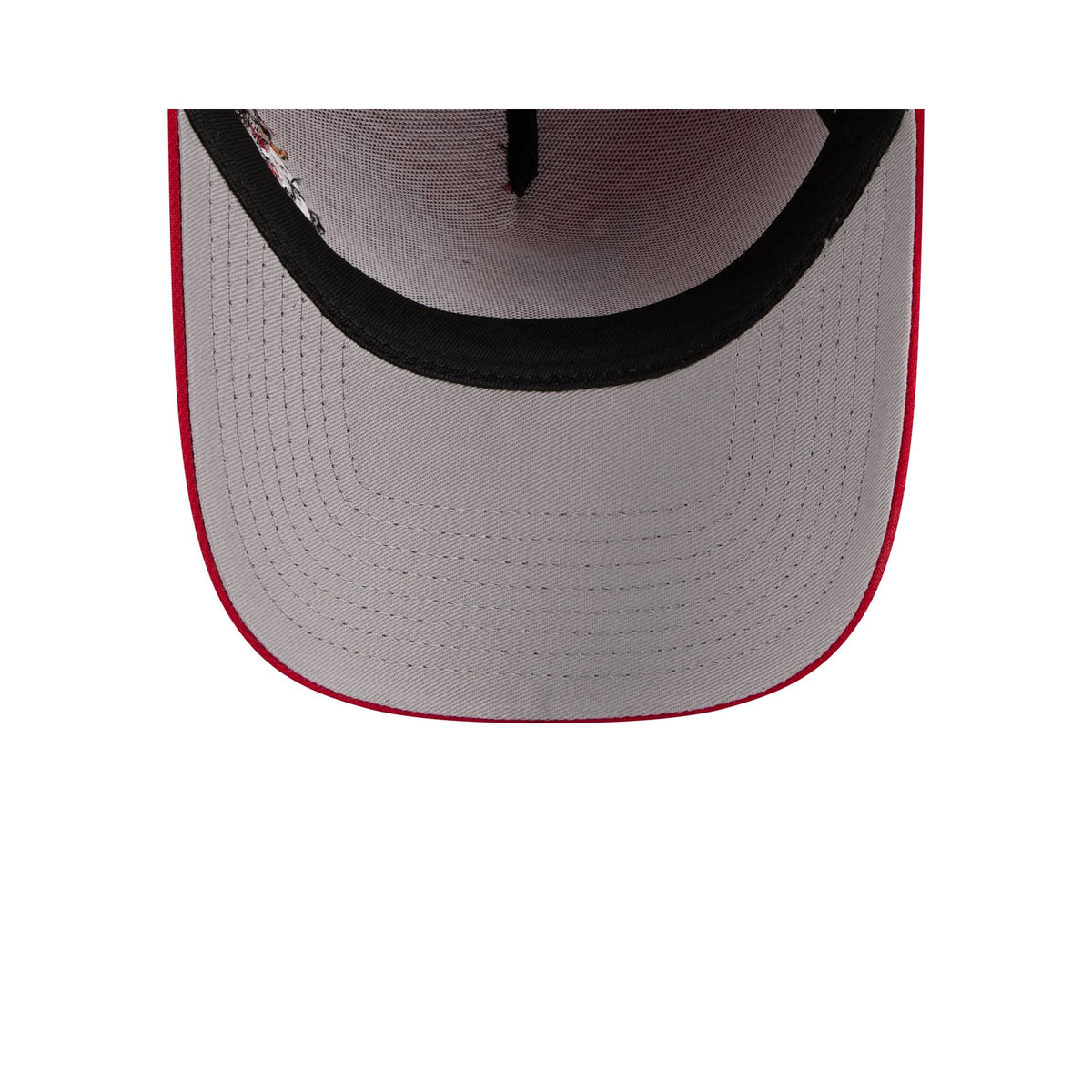 Cincinnati Reds Looney Tunes 9FORTY A-Frame Snapback Hat