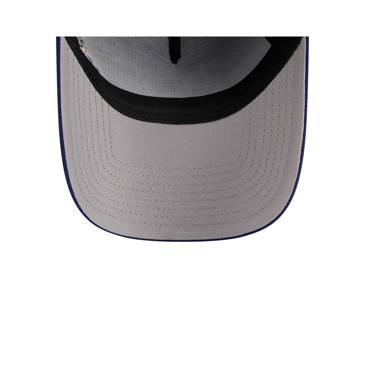Buffalo Bisons Looney Tunes 9FORTY A-Frame Snapback Hat