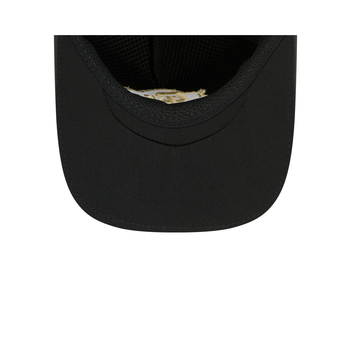 Colorado Buffaloes 9FORTY APEX Snapback Hat