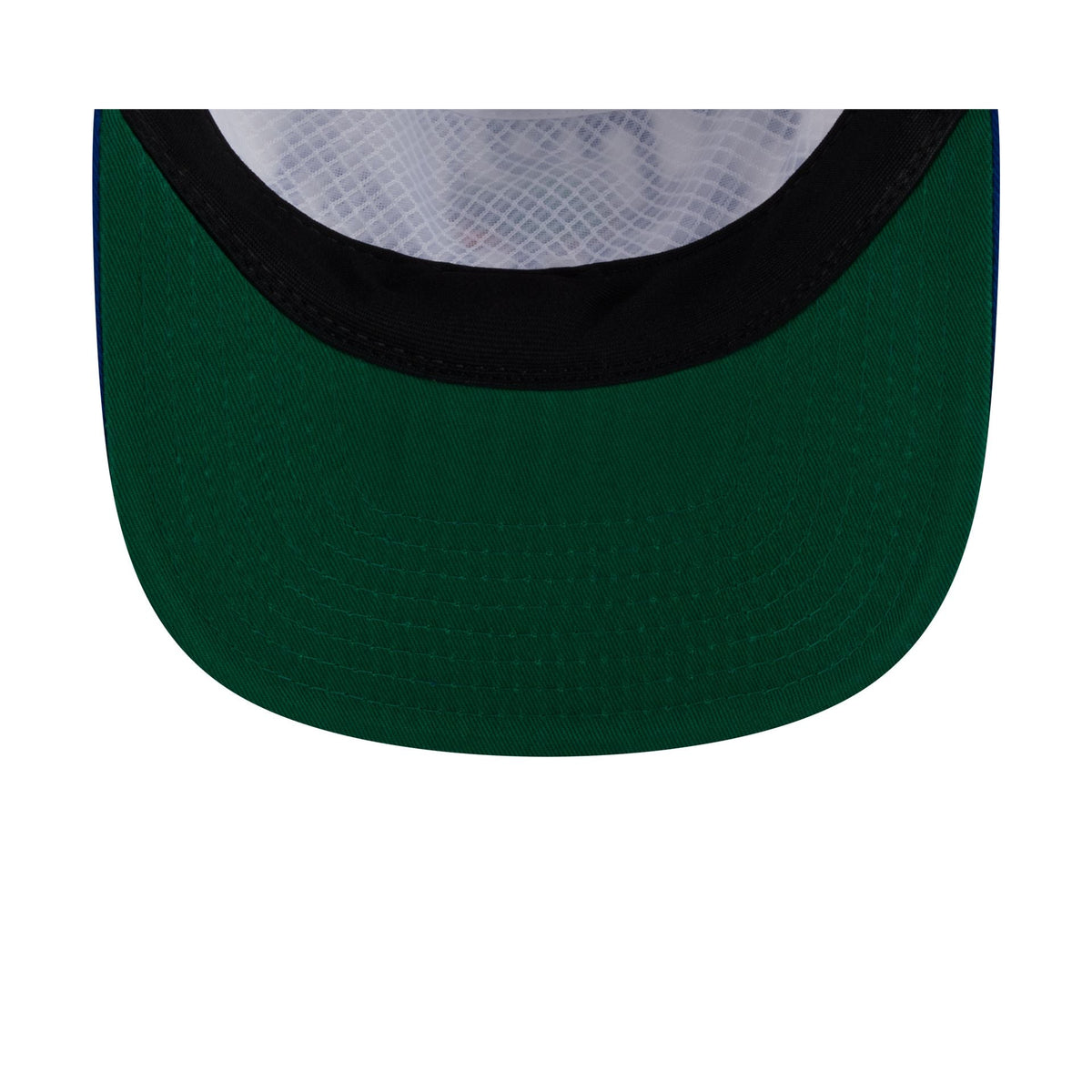 Florida Gators Collegiate Wordmark 19TWENTY Snapback Hat