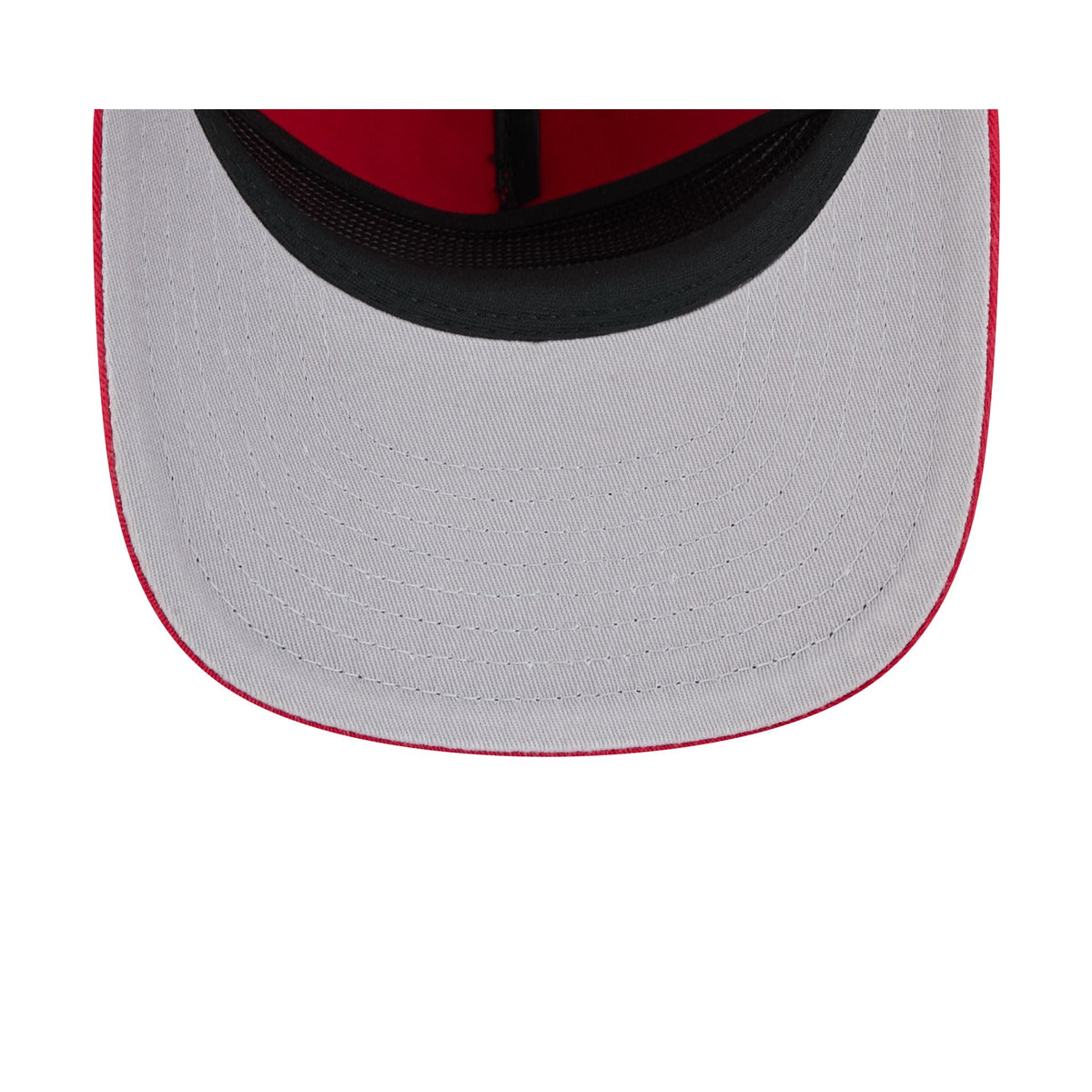 Detroit Red Wings Arched Graphic 19TWENTY Snapback Hat
