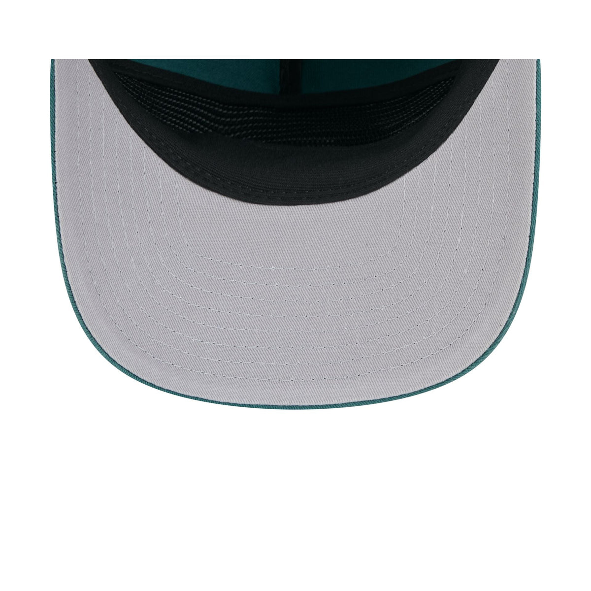 Philadelphia Eagles Arched Graphic 19TWENTY Snapback Hat