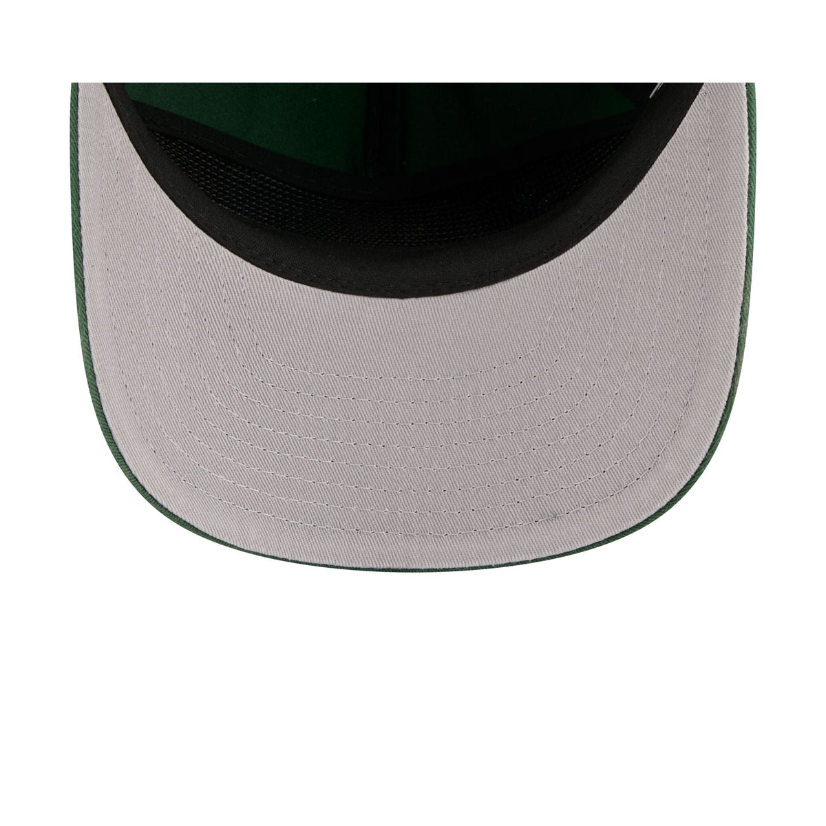 Green Bay Packers Arched Graphic 19TWENTY Snapback Hat