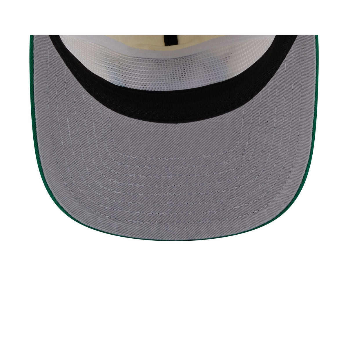Boston Celtics Hardwood Classics Retro Chrome 19TWENTY Adjustable Hat