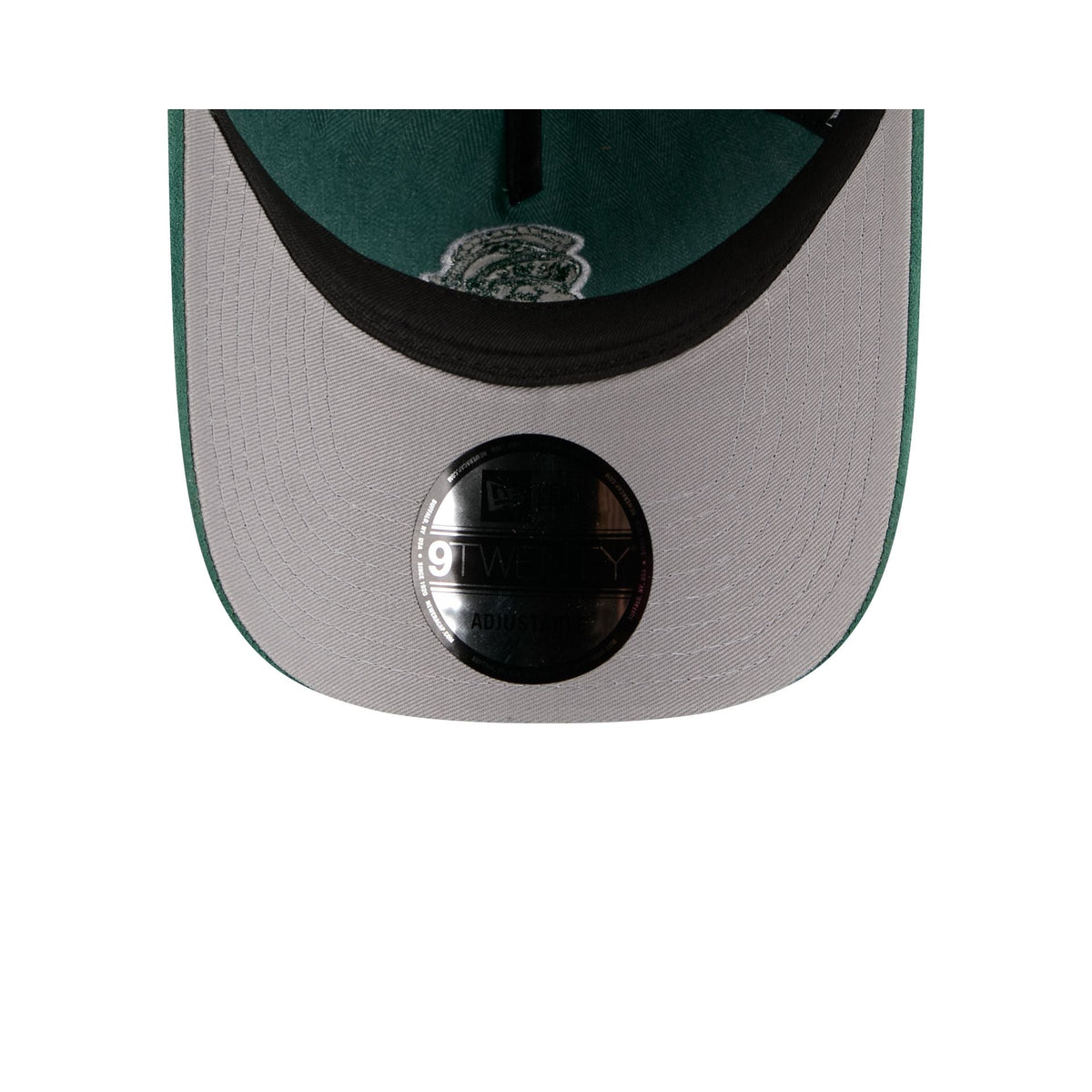 Michigan State Spartans Herringbone Team Colors 9TWENTY A-Frame Adjustable Hat