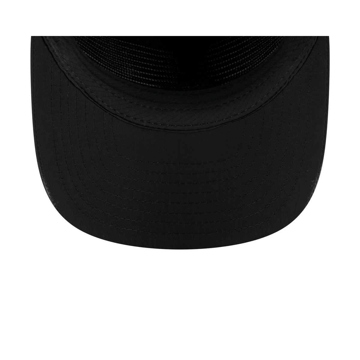 Detroit Lions Nylon Black 19TWENTY Adjustable Hat