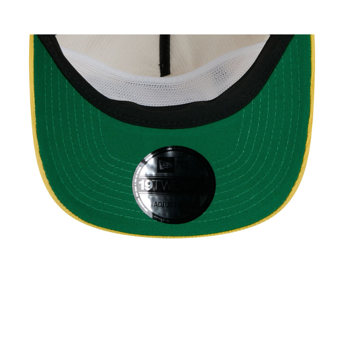 Green Bay Packers Retro Pack Team Ball 19TWENTY Snapback Hat