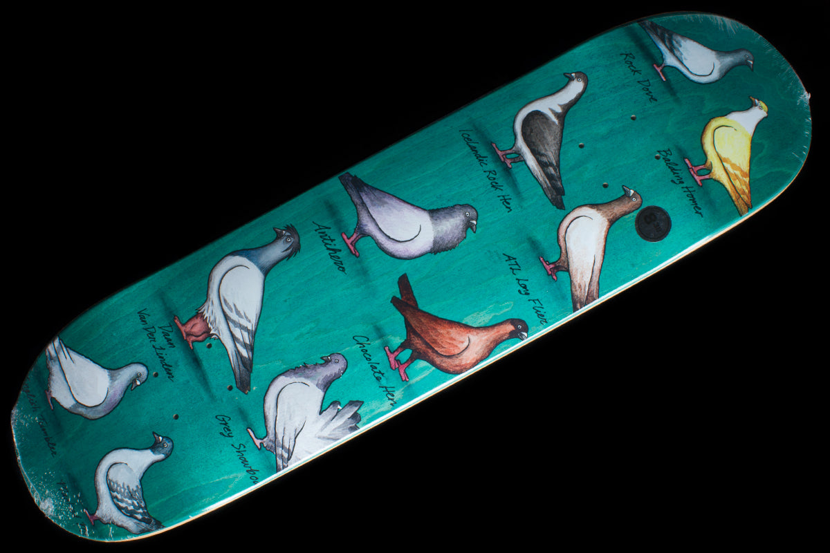 Daan Show Pigeons Deck Teal 8.38