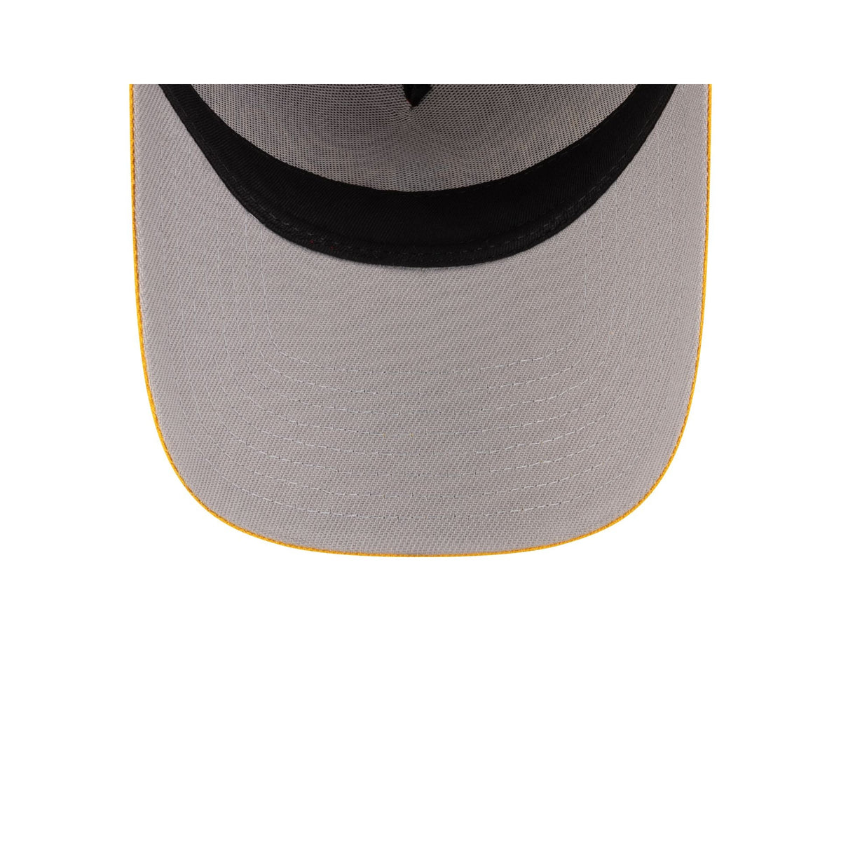 Harry Potter Gryffindor 9FORTY A-Frame Snapback Hat