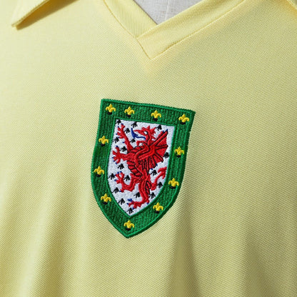 Wales Jersey 1976 Away Retro Football Kit
