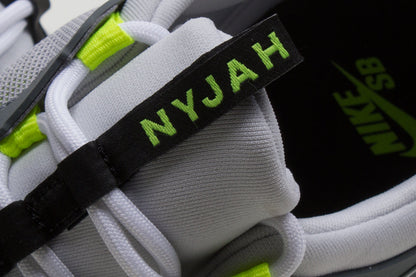 Nyjah Free 2