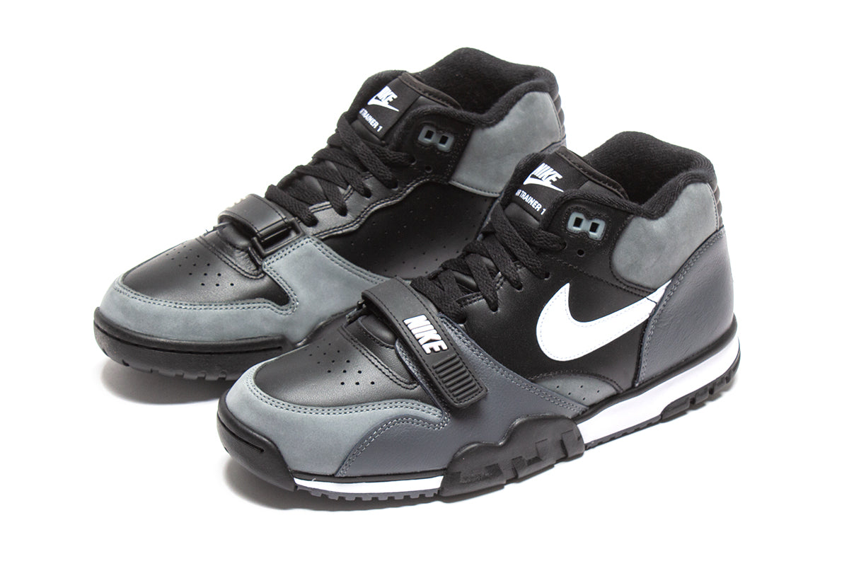 Air Trainer 1