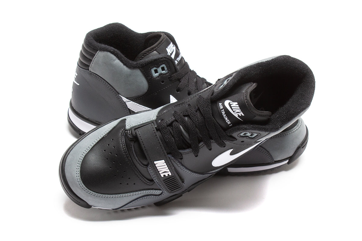Air Trainer 1