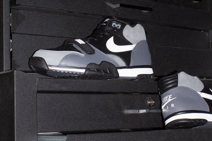 Air Trainer 1