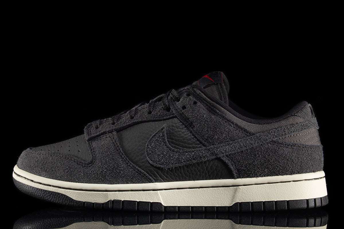 Dunk Low Pro Retro SE