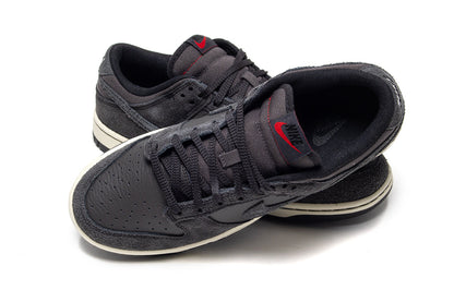 Dunk Low Pro Retro SE