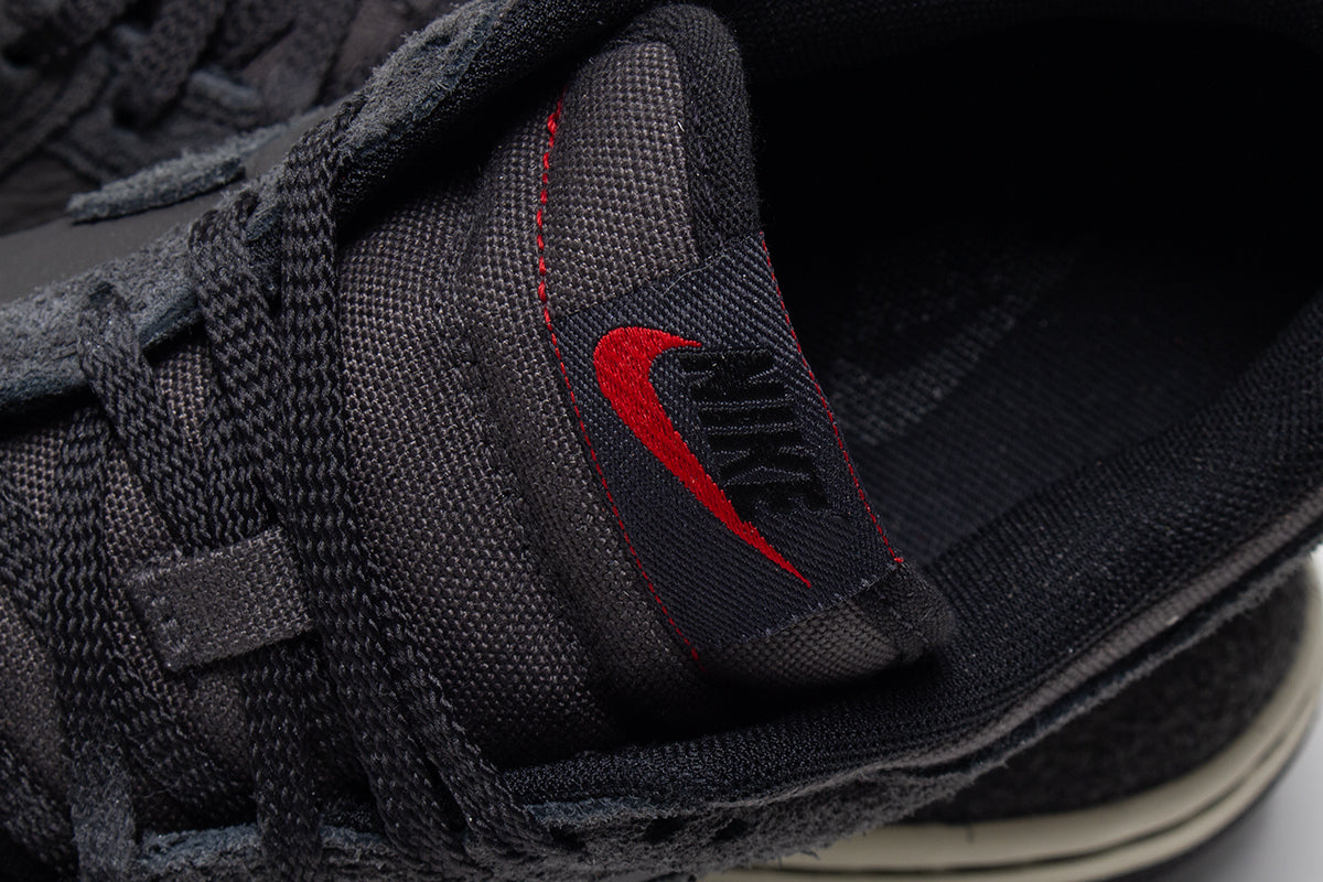 Dunk Low Pro Retro SE