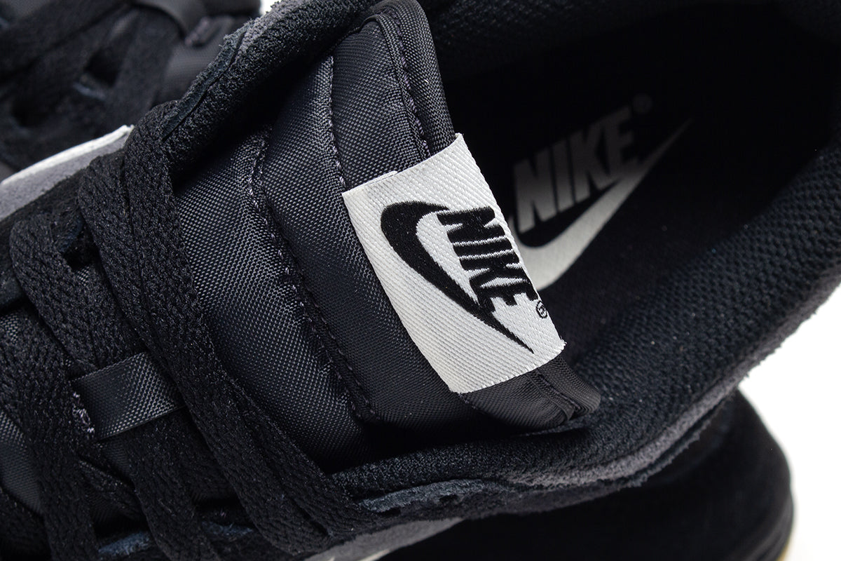 Dunk Low Retro SE