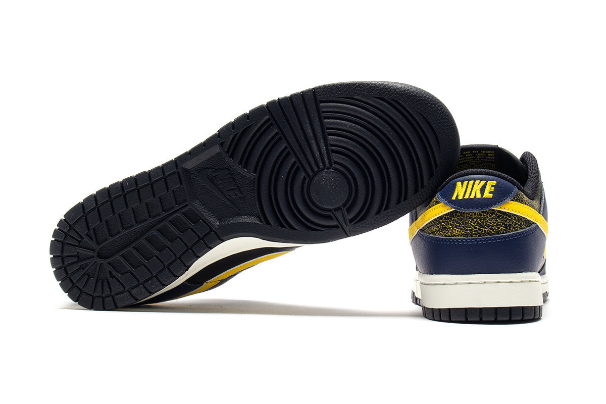Dunk Low Retro