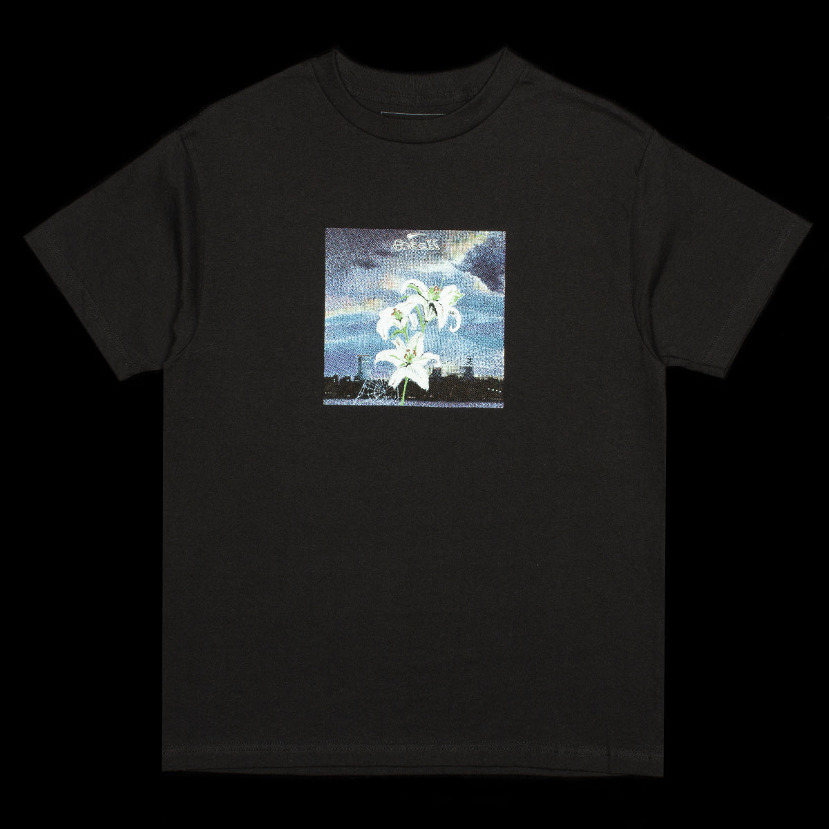 Web T-Shirt