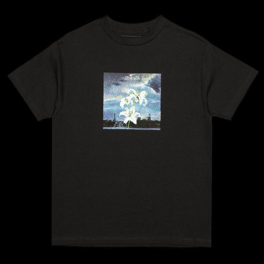 Web T-Shirt