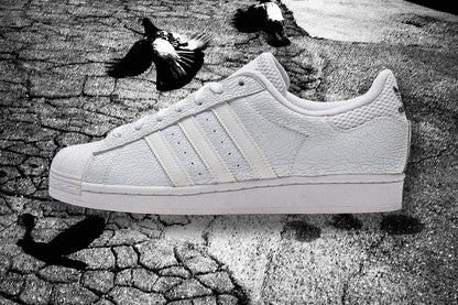 Superstar x Vitoria