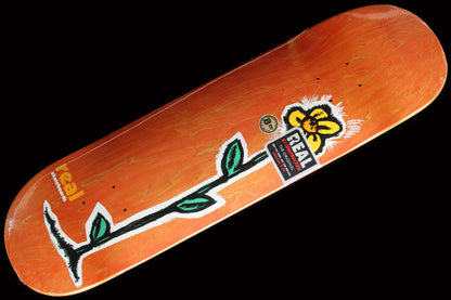 Regrowth Deck Orange 8.25"