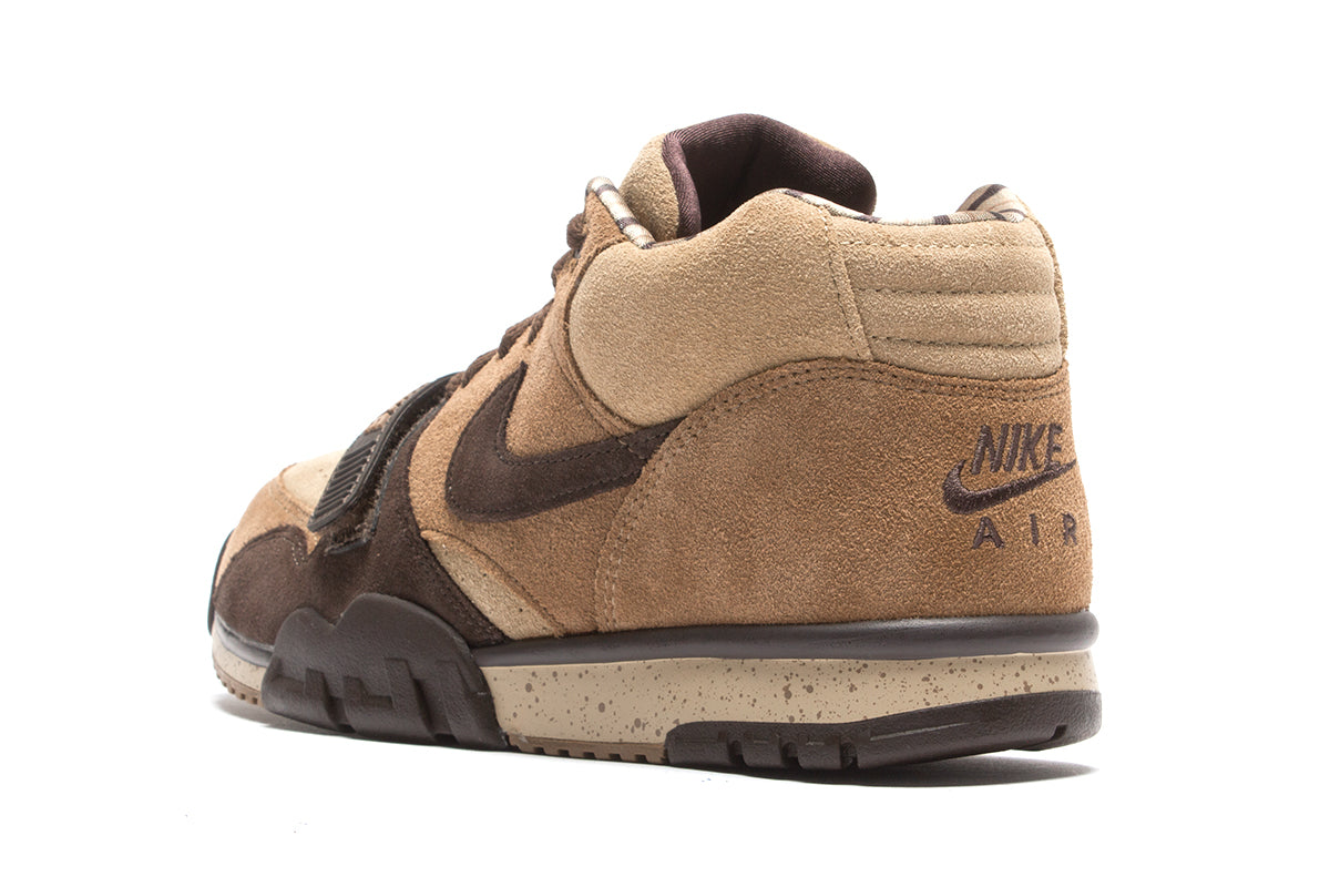 Air Trainer 1