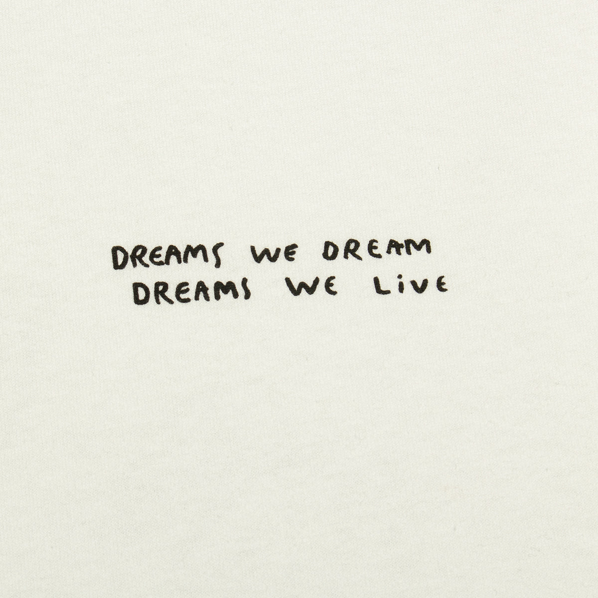 Dreams We Dream T-Shirt