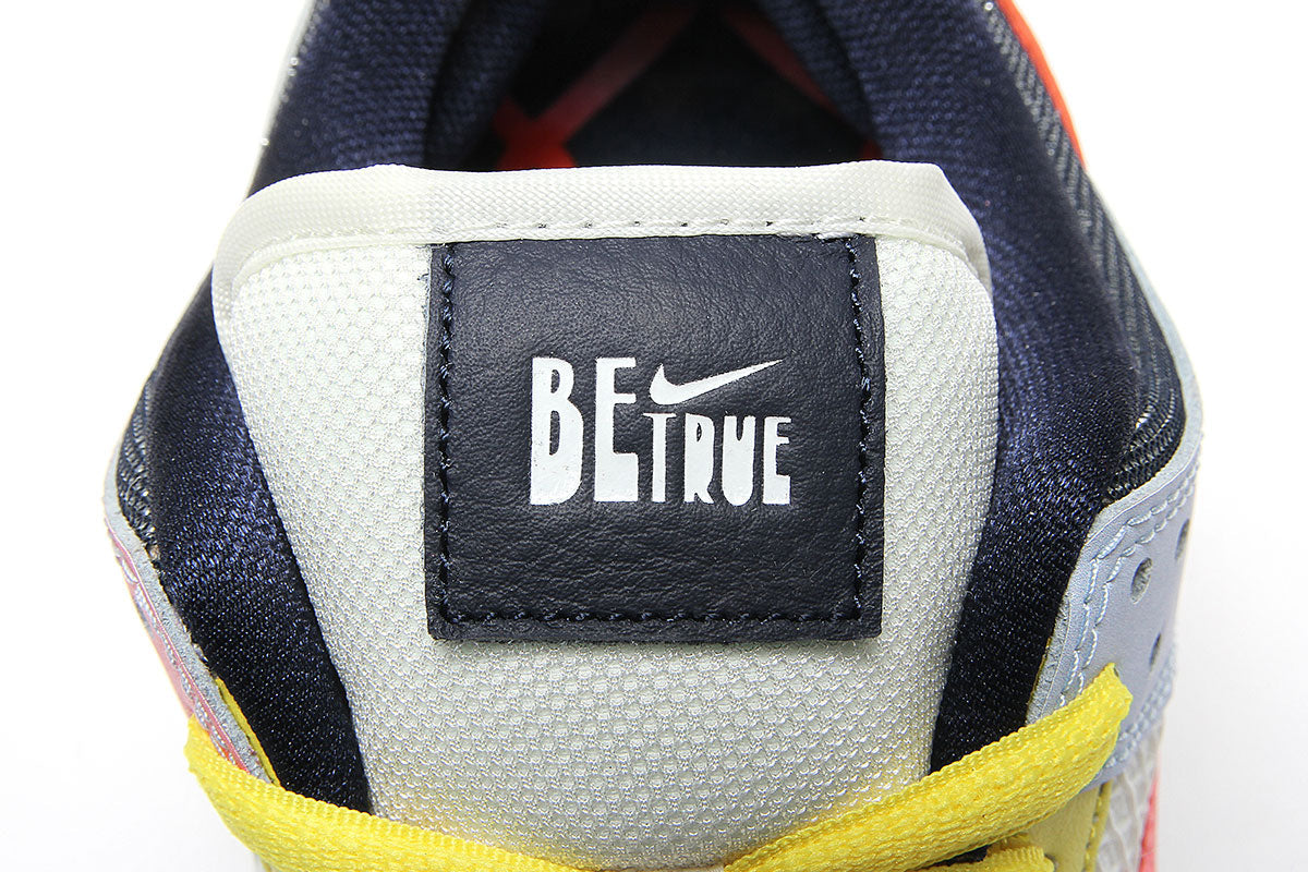 Dunk Low Pro Be True