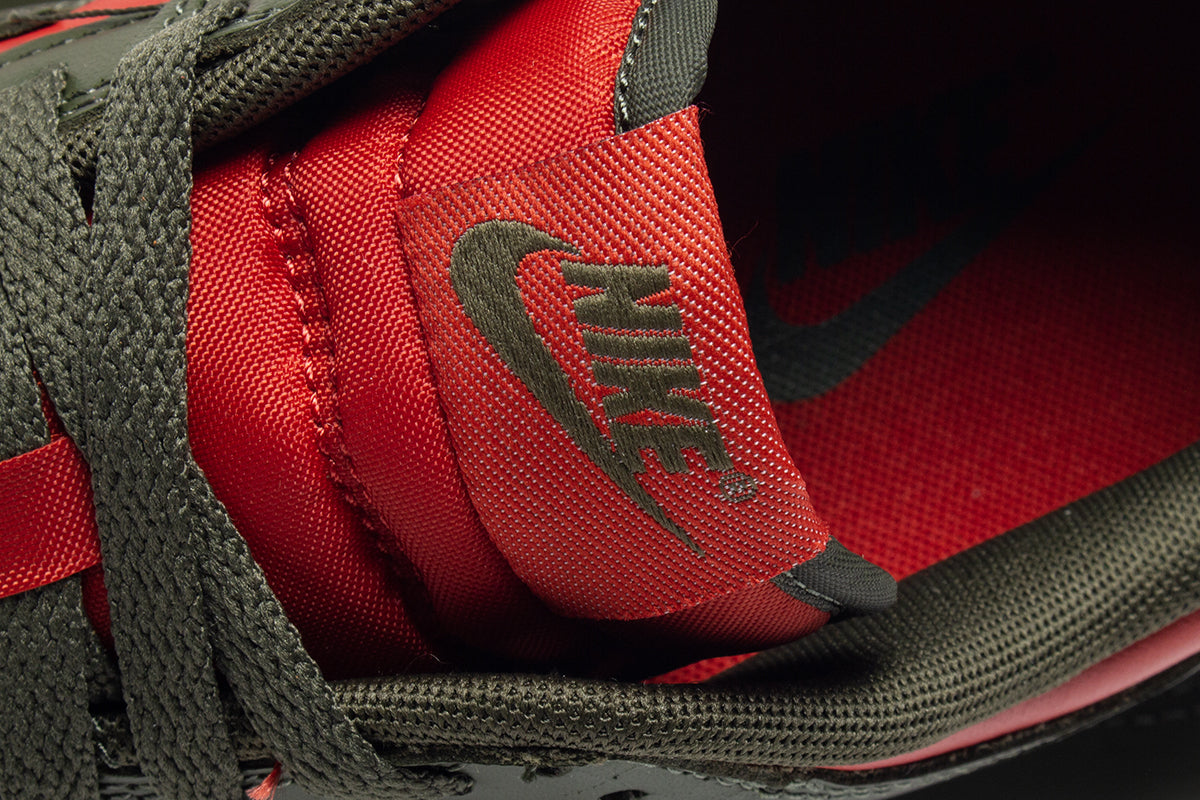 Dunk Low Retro