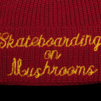 Skateboarding On Mushrooms Beanie