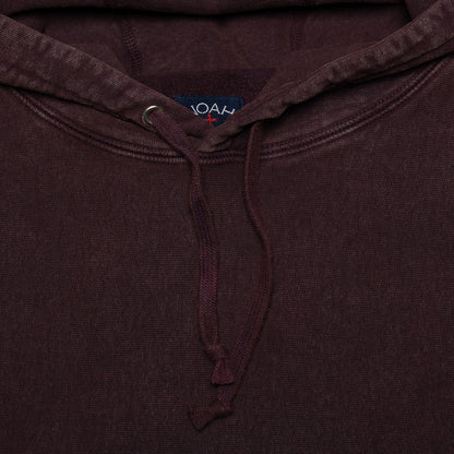 Salt Wash Hoodie