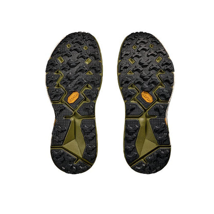 Hoka SpeedGoat 2