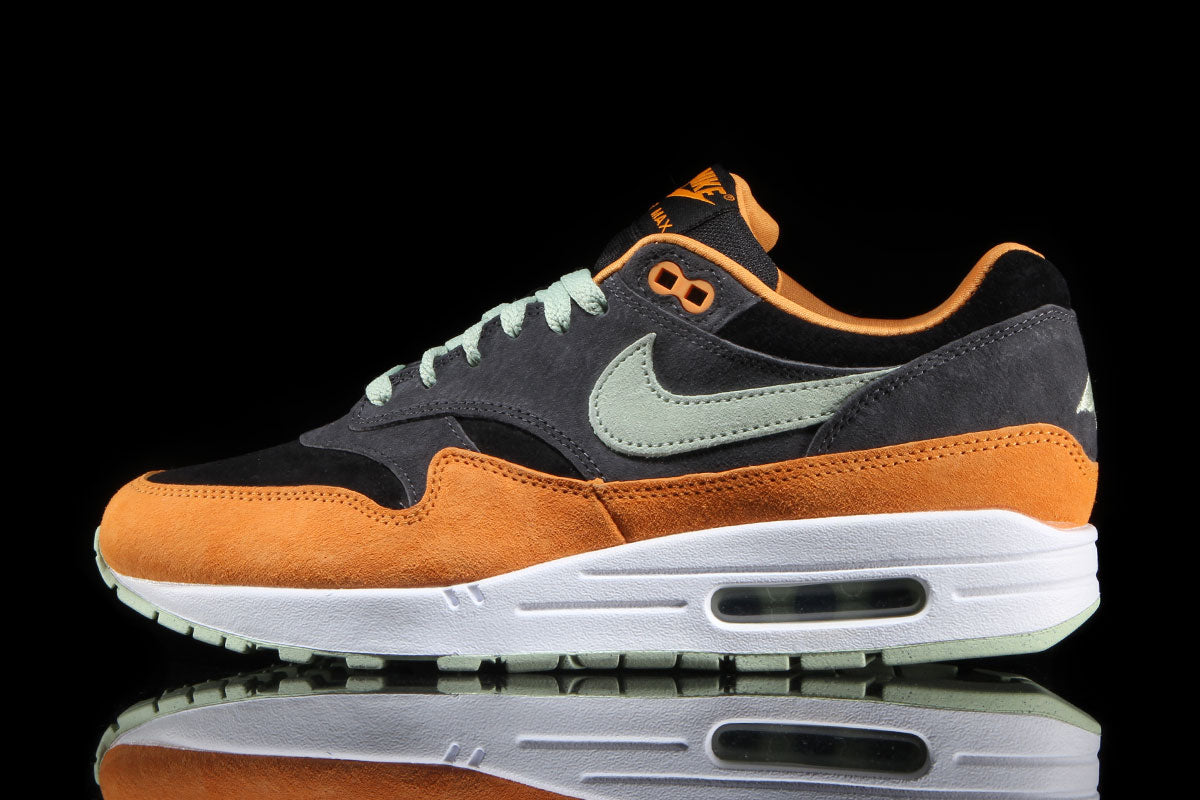 Air Max 1 Premium 'Ugly Duckling'