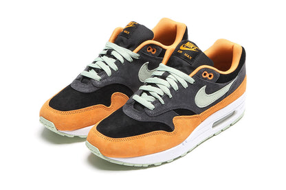 Air Max 1 Premium 'Ugly Duckling'