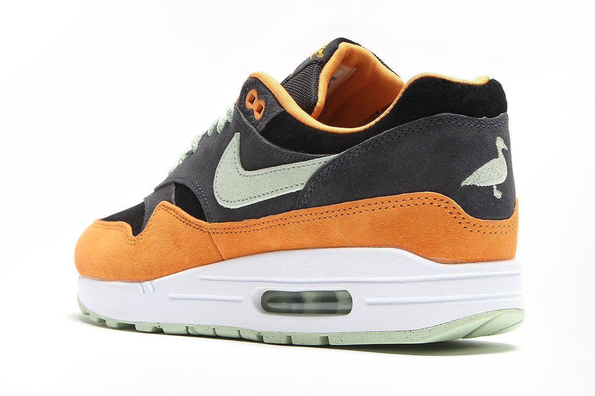 Air Max 1 Premium 'Ugly Duckling'