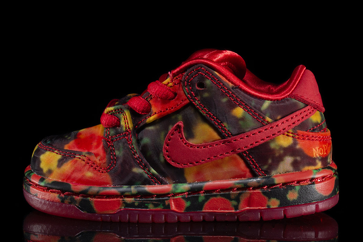 Dunk Low Pro x The Wizard Of Oz (TD)