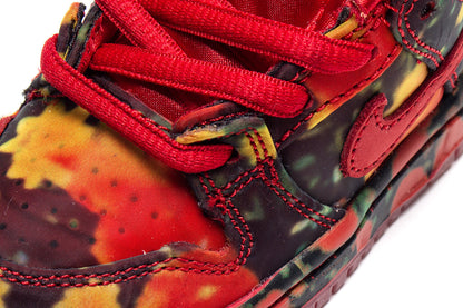 Dunk Low Pro x The Wizard Of Oz (TD)