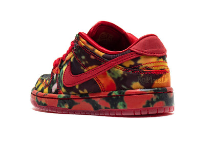 Dunk Low Pro x The Wizard Of Oz (PS)