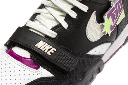 Air Trainer 1 SE