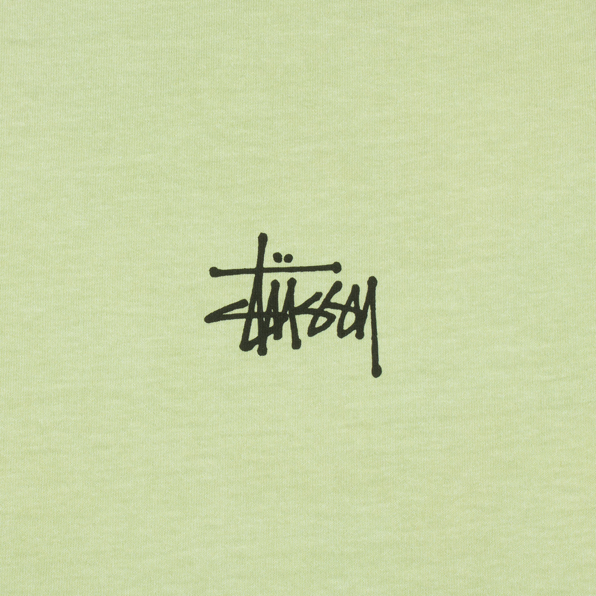 Basic Stussy Pigment Dyed T-Shirt