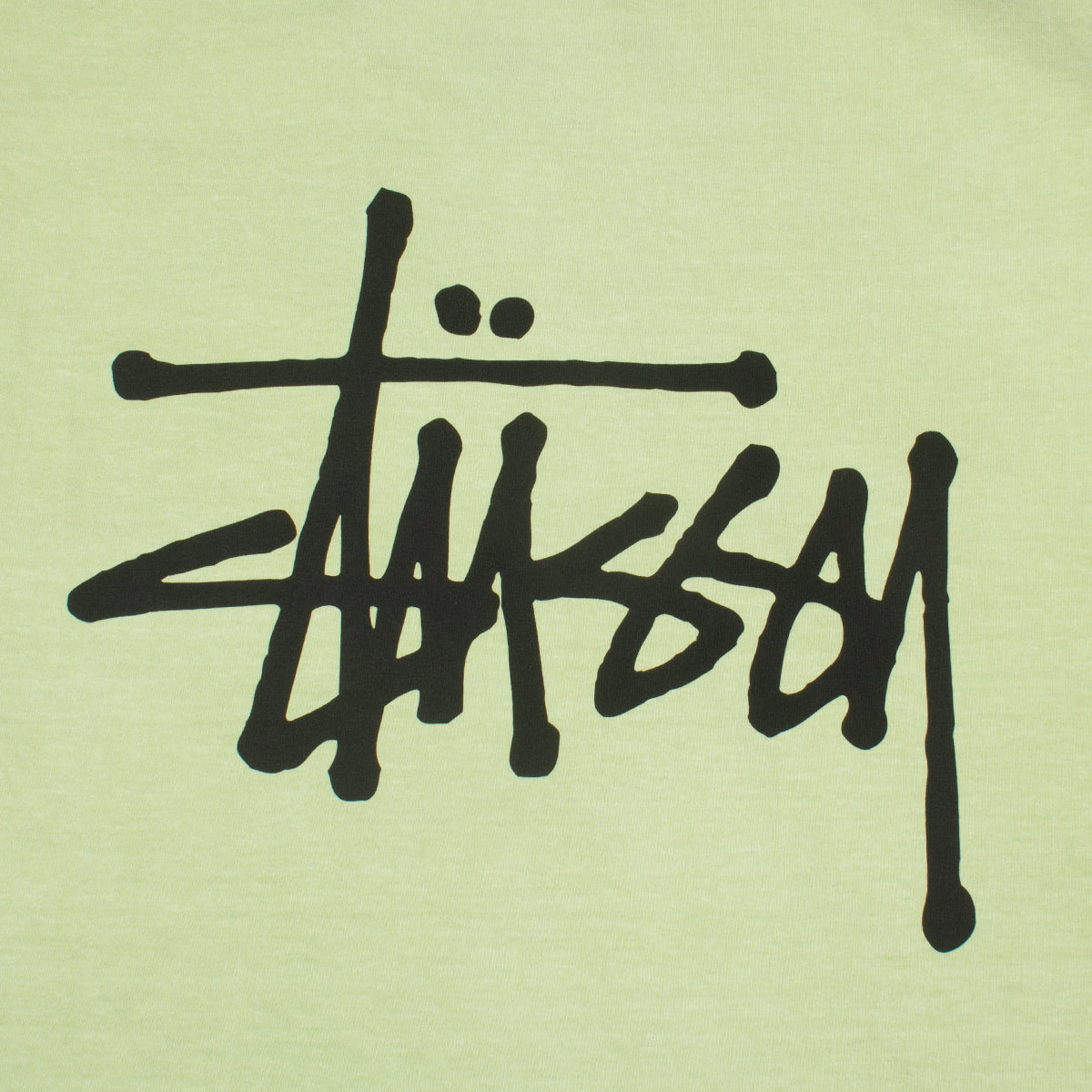 Basic Stussy Pigment Dyed T-Shirt